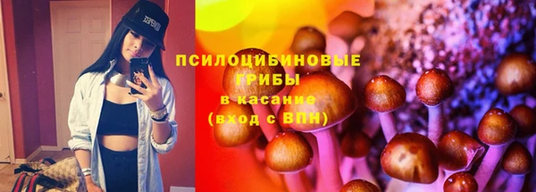 винт Надым