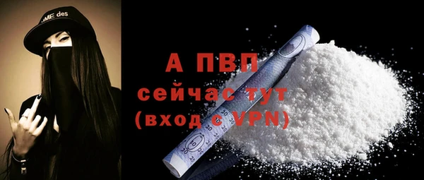 винт Надым