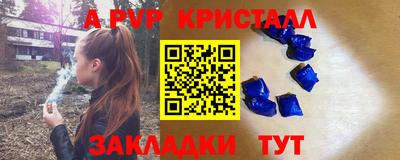 стаф Будённовск