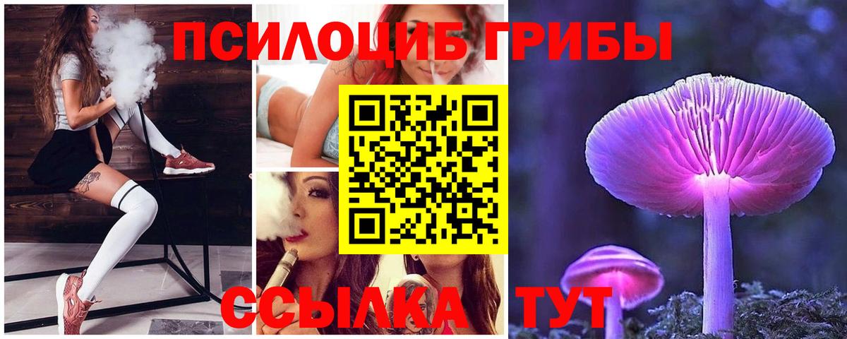 Нижнеудинск  Псилоцибиновые грибы прущие грибы  Вход с VPN  Псилоцибиновые грибы прущие грибы 